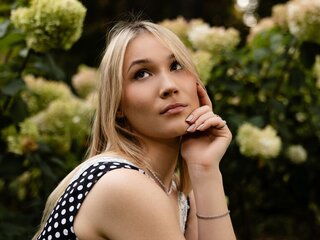 Chat Now with ElaraVoltage